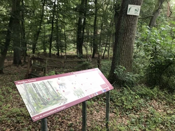 Infotafel zu Wald, Wild und Wolf am Startpunkt, dahinter ein Hinweisschild auf die Zertifizierung des Waldes. Unbedingt mal lesen!