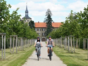 Lindenallee am Rittergut Lucklum
