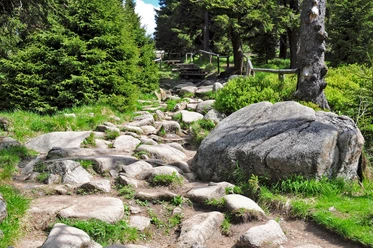 Eckerlochstieg zum Brocken