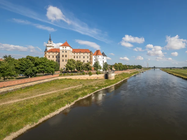 Vue panoramique du château Hartenfels, au premier plan les prairies de l'Elbe Torgau, destinations d'excursions, curiosités touristiques