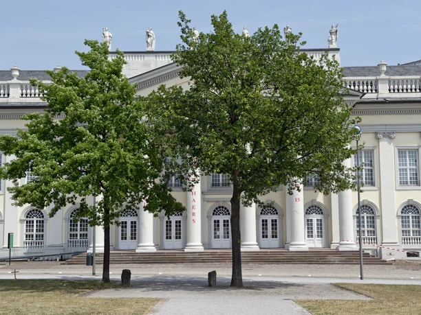 7000 Eichen - Joseph Beuys 7000 Eichen - Joseph Beuys