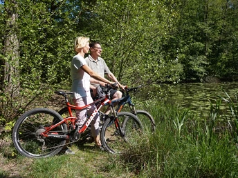 Am Schafteich im Lappwald