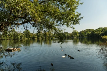 Abtskücher Teich der MuseumsLandschaft Abtsküche in Heiligenhaus Ruhiger Teich mit schwimmenden Enten und üppigem Baumbewuchs im Hintergrund bei klarem Himmel.