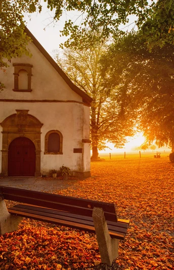 Kapelle "Zur Hilligen Seele" Kapelle "Zur Hilligen Seele" im Herbstlicht, umgeben von buntem Laub und alten Bäumen.