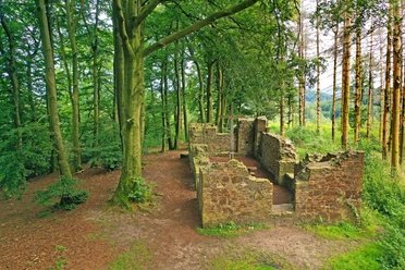 Oerlinghausen Hünenkapelle Die Hünenkapelle-Ruine steht im dichten Wald, umgeben von hohen Bäumen, mit Blick auf bewaldete Hügel.