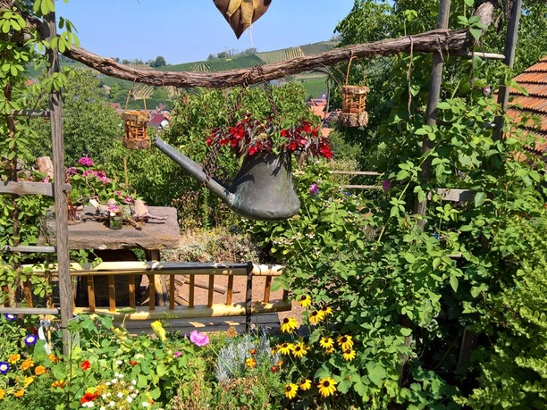 WP_20180724_11_21_19_Pro_KLEIN