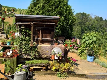 WP_20180724_11_24_31_Pro_KLEIN