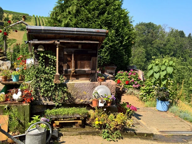 WP_20180724_11_24_31_Pro_KLEIN