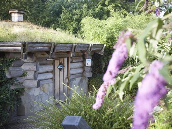 Thalassozentrum ahoi! Saunabereich