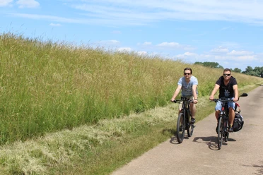 Radfahren in der Mittelweser-Region Zwei Personen, die auf einem asphaltierten Weg durch eine grüne, ländliche Landschaft radeln.