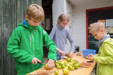 Kinder-Aktion auf Gut Halfeshof in Mettmann Drei Kinder schälen Äpfel an einem Holztisch vor einem Hintergrund aus grünen Brettern und Backsteinwänden.