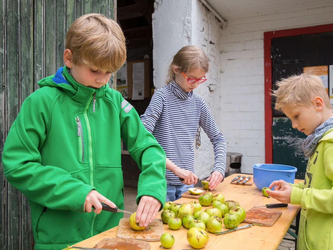 Kinder-Aktion auf Gut Halfeshof in Mettmann Drei Kinder schälen Äpfel an einem Holztisch vor einem Hintergrund aus grünen Brettern und Backsteinwänden.