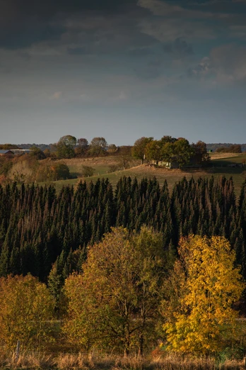 Panorama Etteln Herbstliche Landschaft mit sanften Hügeln und dichten Wäldern unter einem bedeckten Himmel.