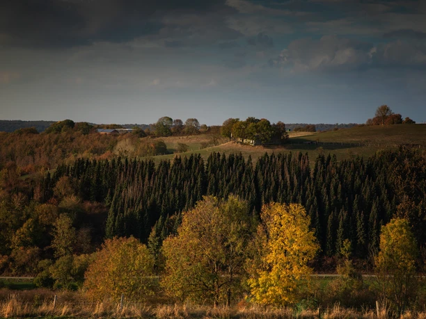 Panorama Etteln Herbstliche Landschaft mit sanften Hügeln und dichten Wäldern unter einem bedeckten Himmel.
