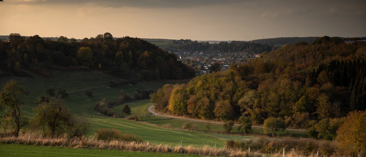Grüne hügelige Landschaft mit Wäldern; am Horizont ein Dorf und sanfte Schatten der Abenddämmerung.