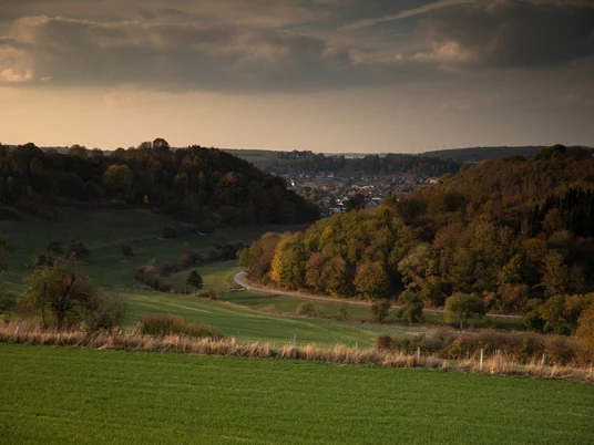 Grüne hügelige Landschaft mit Wäldern; am Horizont ein Dorf und sanfte Schatten der Abenddämmerung.
