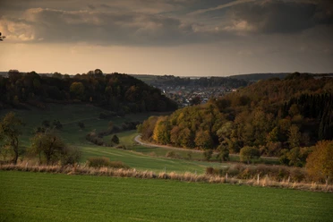 Ein Blick auf Etteln Grüne hügelige Landschaft mit Wäldern; am Horizont ein Dorf und sanfte Schatten der Abenddämmerung.