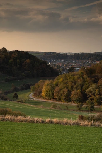 Ein Blick auf Etteln Grüne hügelige Landschaft mit Wäldern; am Horizont ein Dorf und sanfte Schatten der Abenddämmerung.