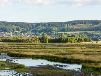 Großes Torfmoor Das Große Torfmoor ist eine weitläufige Moorlandschaft mit grünen Wiesen und lebendigen Wasserflächen.