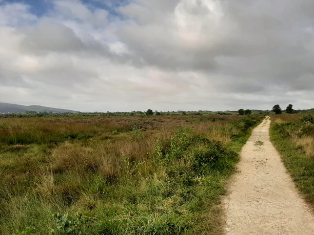 Großes Torfmoor Ein schmaler, sandiger Pfad führt durch eine weitläufige Moorlandschaft mit bewölktem Himmel.