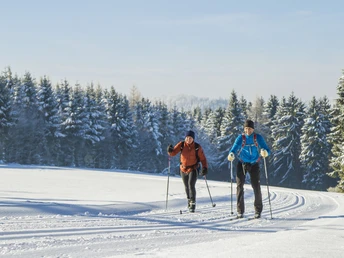 Langläufer-Paar vor verschneiten Tannen Langläufer-Paar vor verschneiten Tannen