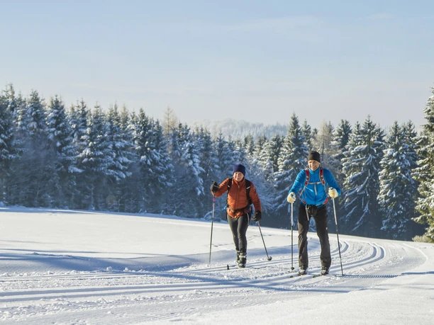 Langläufer-Paar vor verschneiten Tannen Langläufer-Paar vor verschneiten Tannen