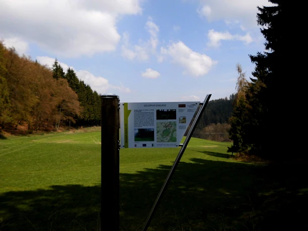 Geoparkstation G5 an der Goldspur Eimelrod
