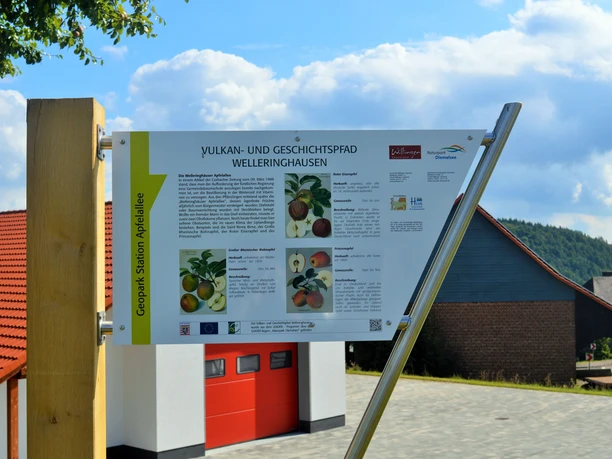 Vulkanpfad Welleringhausen Station Apfelallee