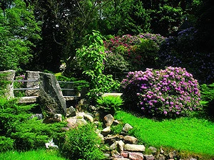 Gernsbach - Kurpark 1