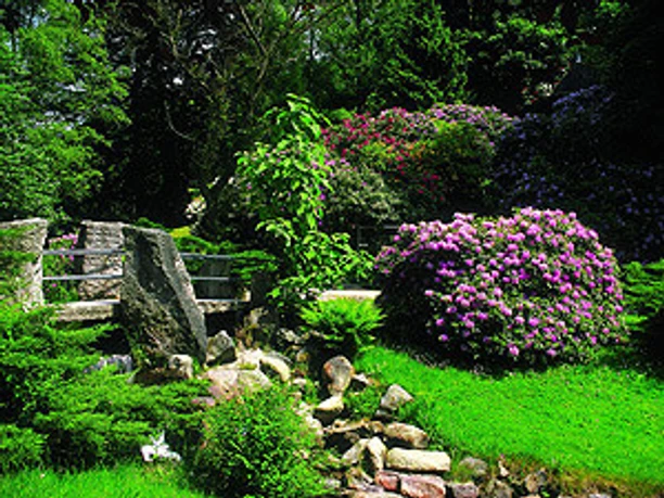 Gernsbach - Kurpark 1