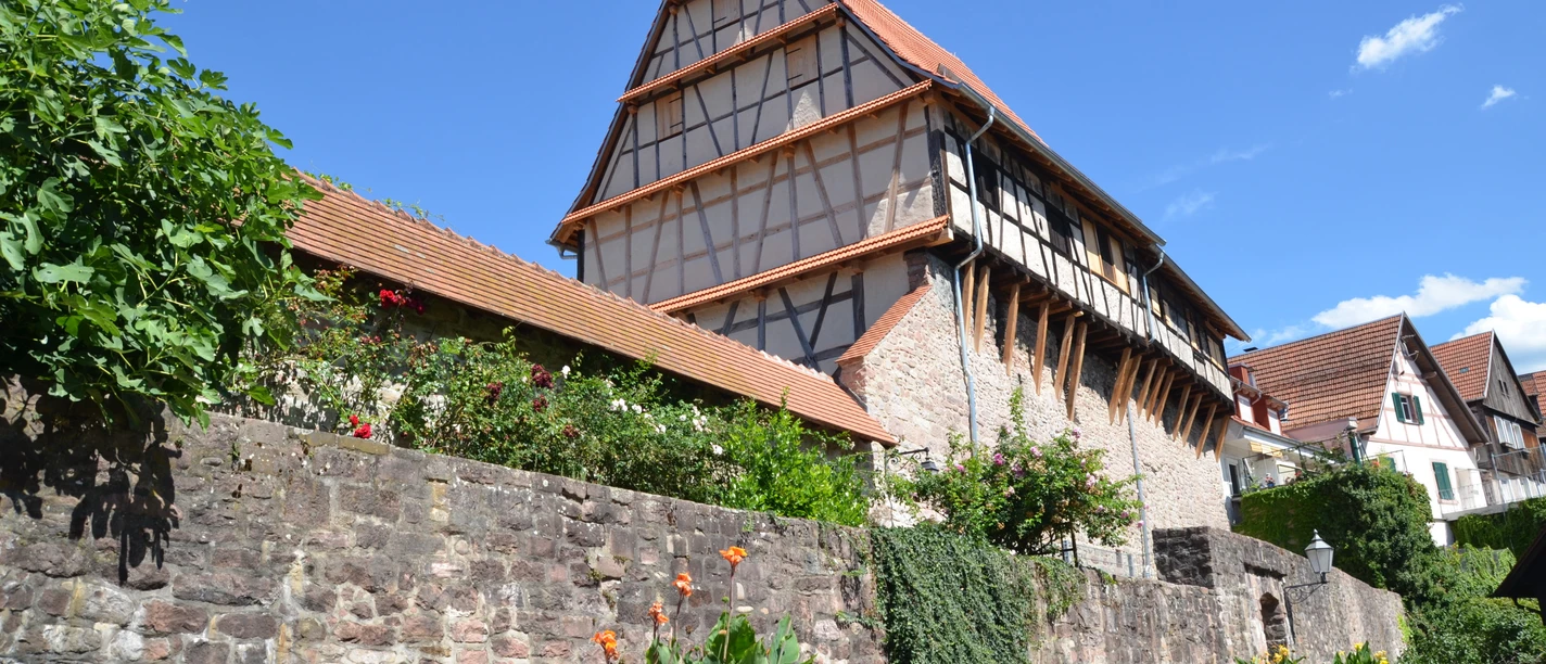 Zehntscheuern August 2020 14