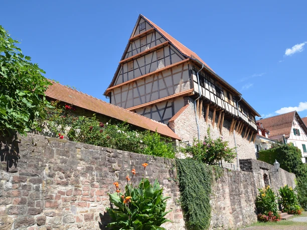 Zehntscheuern August 2020 14