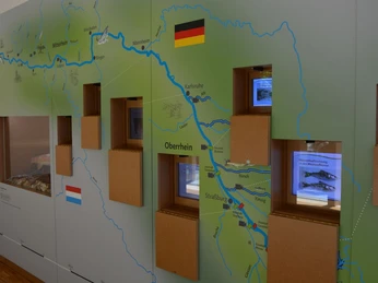 Informationszentrum Lachszucht Wolftal