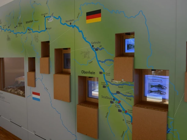 Informationszentrum Lachszucht Wolftal