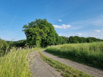 Radweg zwischen Neustadt(Hessen) und Schwalmstadt-Wiera