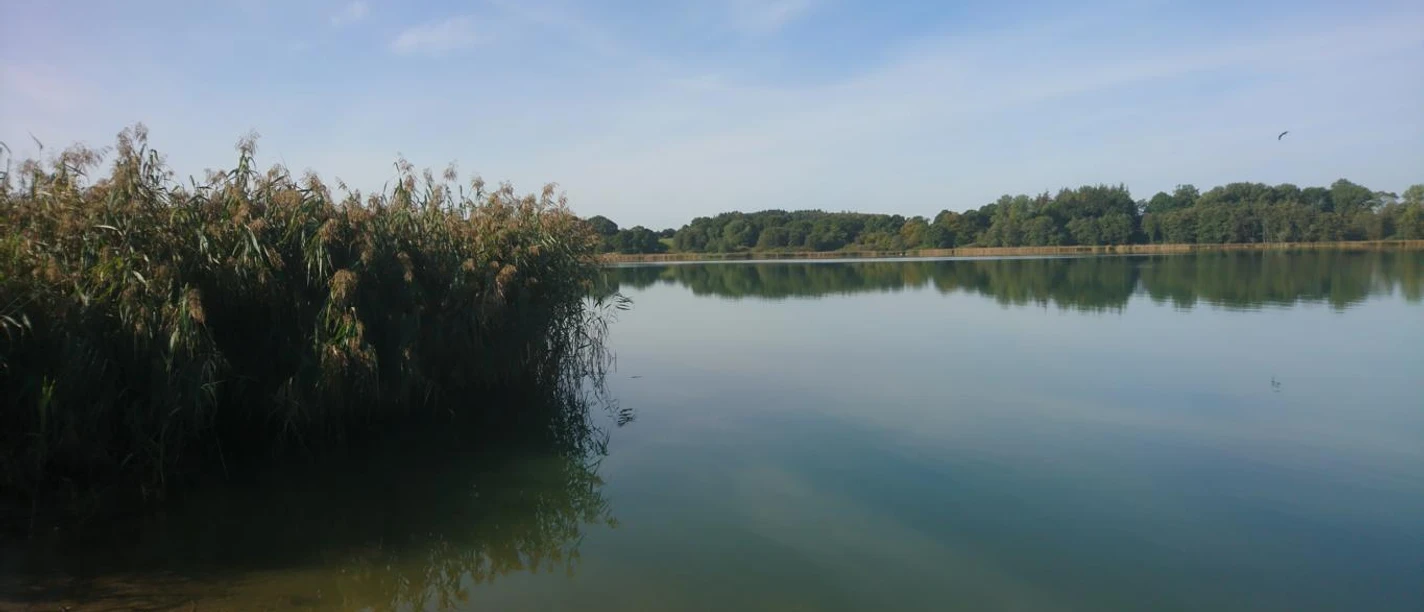 Selker Noor Katja Brückner 2020 (5).JPG