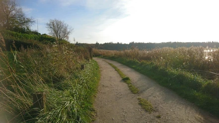 radweg-ostseefjordschlei.JPG