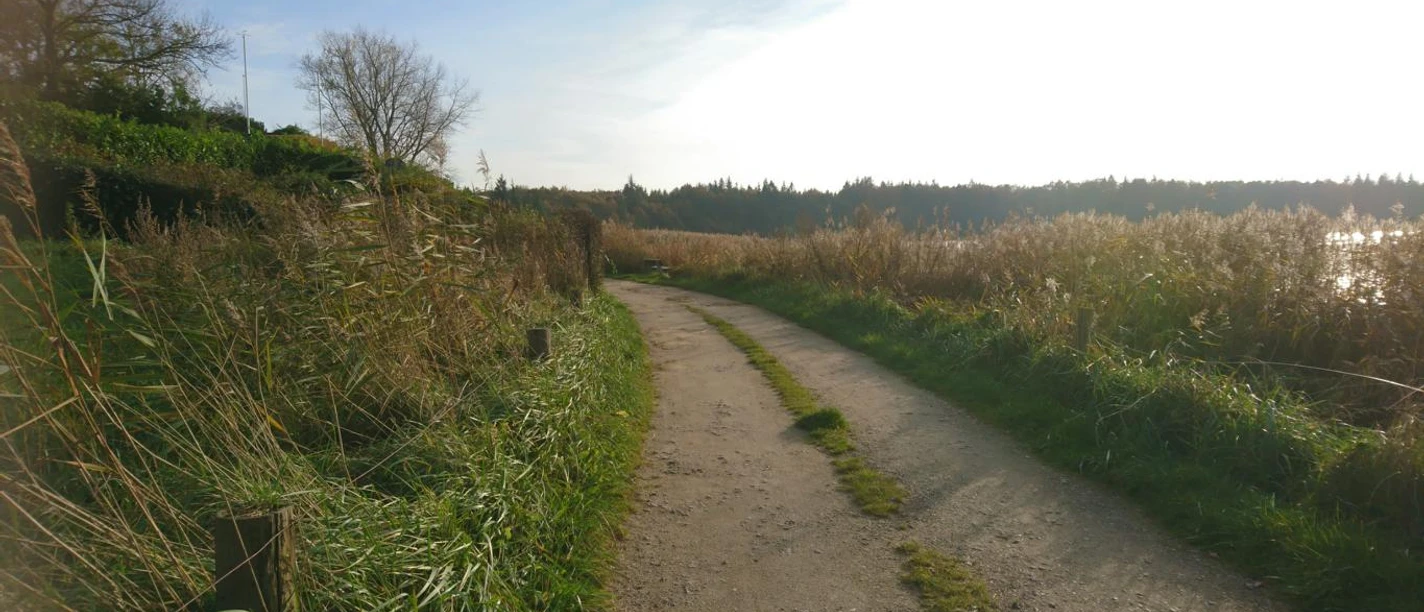 radweg-ostseefjordschlei.JPG