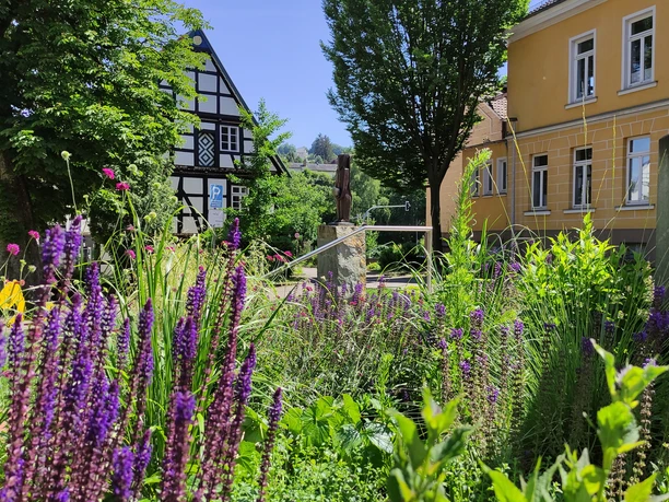 Blühende lila und grüne Pflanzen im Vordergrund, historische Gebäude mit Fachwerk und gelber Fassade.