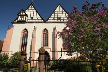 Klosterkirche Blomberg Klosterkirche Blomberg mit gotischen Fenstern und Fachwerkgiebel, flankiert von blühendem Flieder.