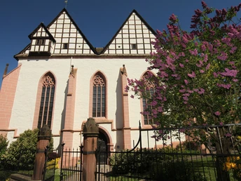 Klosterkirche Blomberg Klosterkirche Blomberg mit gotischen Fenstern und Fachwerkgiebel, flankiert von blühendem Flieder.