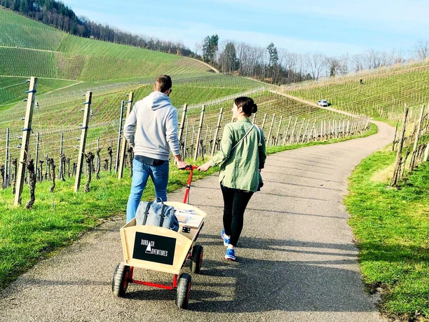 66e3ca7b 100b 4b8b 9f99 c912dec3bd42 clarity