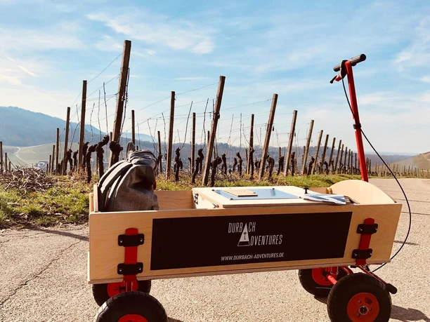 9ff1fa0e 2ab7 416e 9a6a 7ab06edf3430