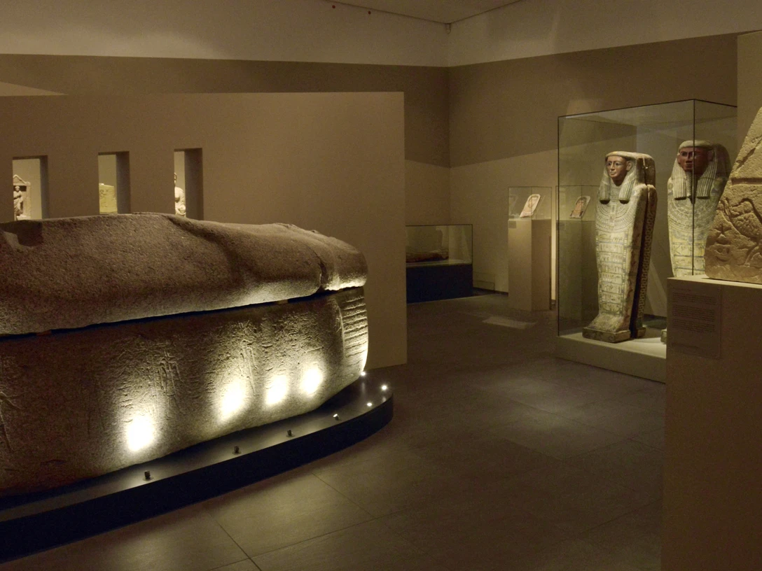 Roemer- und Pelizaeus-Museum Hildesheim, Foto Sharok Shalchi (CC-BY) (1).jpg