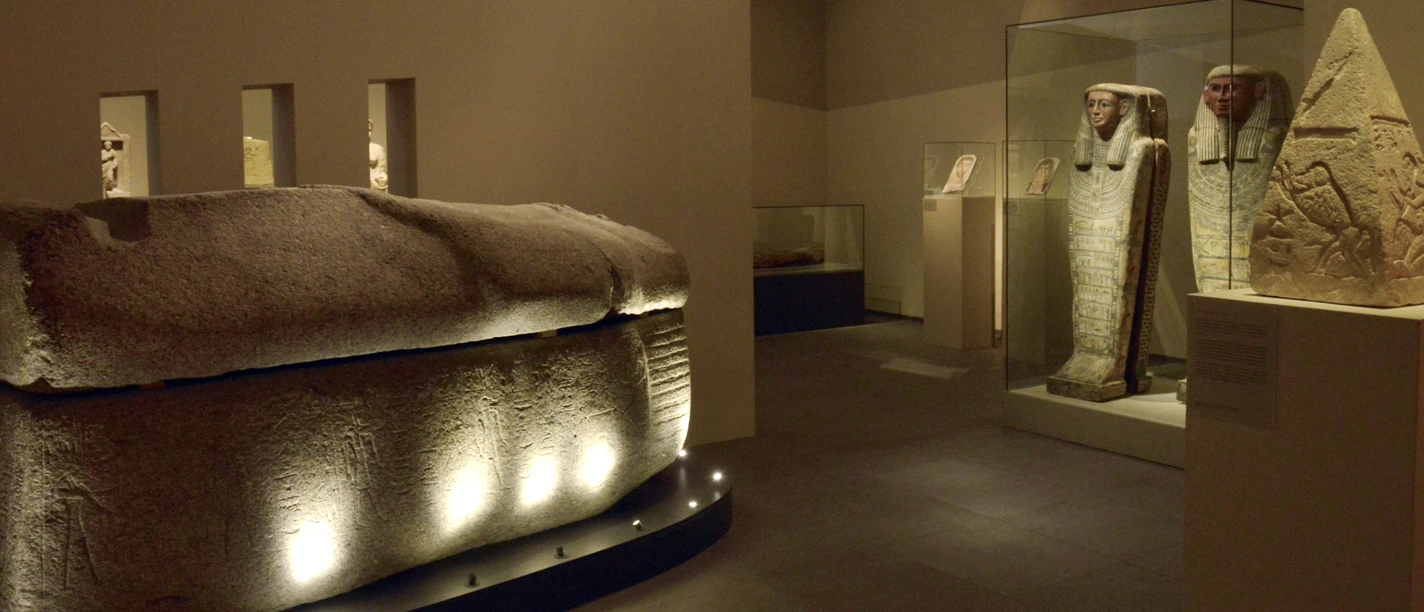 Roemer- und Pelizaeus-Museum Hildesheim, Foto Sharok Shalchi (CC-BY) (1).jpg