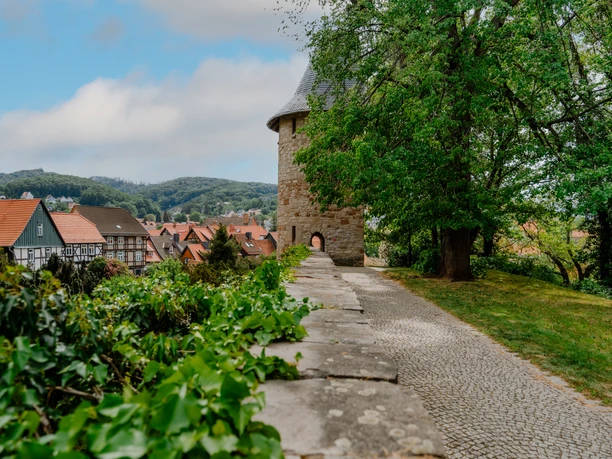 WTG_Stadtmauer_Wernigerode_PolyluchsKreativagentur2.jpg