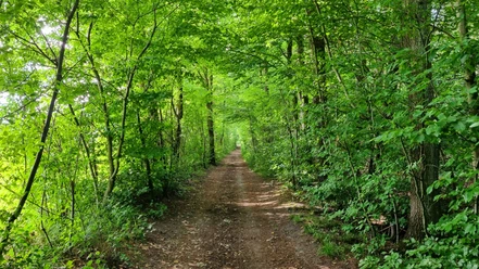 Allee am Landerbach in Schloß Holte-Stukenbrock Allee am Landerbach in Schloß Holte-Stukenbrock