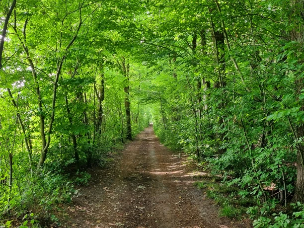 Allee am Landerbach in Schloß Holte-Stukenbrock Allee am Landerbach in Schloß Holte-Stukenbrock