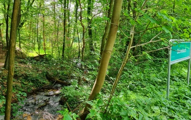 Bärenbach in Schloß Holte-Stukenbrock Bärenbach in Schloß Holte-Stukenbrock