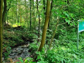 Bärenbach in Schloß Holte-Stukenbrock